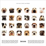 THE DOG ALL STAR 2010年 カレンダー