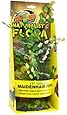 Zoo Med Naturalistic Flora Maidenhair, 12-Inch