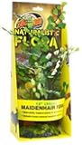 Zoo Med Naturalistic Flora Maidenhair, 12-Inch