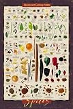 Spice Poster