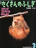月刊 たくさんのふしぎ 2012年 03月号 [雑誌]