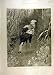 1900 Zoo Secretary-Bird Zoological Gardens Old Print