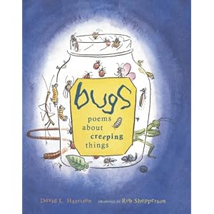 Bugs