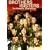 Brothers and Sisters: The Complete Third Season