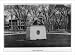 Historic Print (L): [Statue of John Harvard, Harvard University, Cambridge, Mass.]