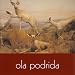 AllTimeFavorits, Teil1: wiesch�nistdasdenn?
