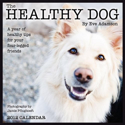 Healthy Dog: A Year Wall Calendar