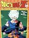 Awaken the Dragon: Dragon Ball Z Giant Coloring and Activity Book