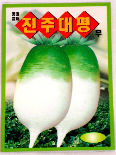 Radish Seeds Korean .2 Pack(4grams-each)