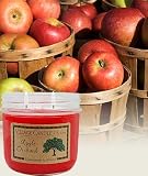�yVILLAGE CANDLE�z�A�b�v���V�I�[�`���[�h�@14.5�I���X
