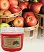 �yVILLAGE CANDLE�z�A�b�v���V�I�[�`���[�h�@14.5�I���X