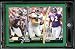 2007 Topps Total # 96 Kelly Gregg / Bart Scott / Haloti Ngata - Baltimore Ravens - Football Card