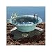 Dancing Water Bowl Image