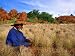 Stewart Davies of the Ngaanyatjarra People, Western Australia Art Photographic Poster Print by Oliver Strewe, 12x9