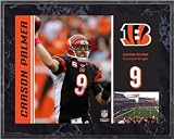 Carson Palmer Cincinnati Bengals 8x10 Color Plaque