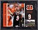 bengal47 - Carson Palmer Cincinnati Bengals 8x10 Color Plaque