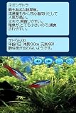 Kokoro ga Uruou Birei Aquarium DS: Tetra - Guppy - Angelfish [Japan Import]