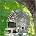 Ohio State Buckeyes Gray Football Helmet Pinata