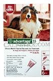 12 MONTH Advantage II Flea Control (for Dogs 21-55 lbs)