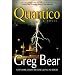 Quantico: A Novel
