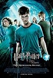 Harry Potter and the Order of the Phoenix Movie Poster (11 x 17 Inches - 28cm x 44cm) (2007) Style H -(Daniel Radcliffe)(Rupert Grint)(Emma Watson)(Helena Bonham Carter)(Robbie Coltrane)(Ralph Fiennes)