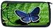 Blue Butterfly Neoprene Pencil Case Makeup case