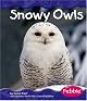 Snowy Owls (Pebble Books)