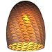 Monte Carlo MCG1017 Tortoise Shell Fan Light Kit Glassware