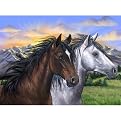 Ravensburger Spirits Of The Wind 1,000 Pc Pzl