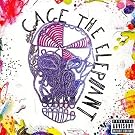 Cage the Elephant