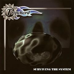 Surviving The System