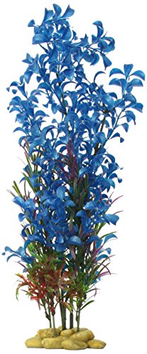 Aquatic Creations Hygrophilia Aquarium Plant, 15-Inch, Blue