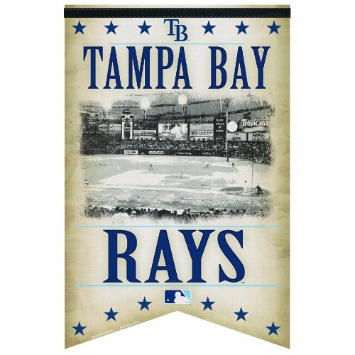 MLB Tampa Bay Devil Rays Premium Felt Banner 17-by-26