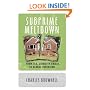 Subprime Meltdown: From U.S. Liquidity Crisis To Global Recession