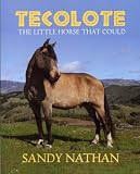 Tecolote: The Little Horse That Could