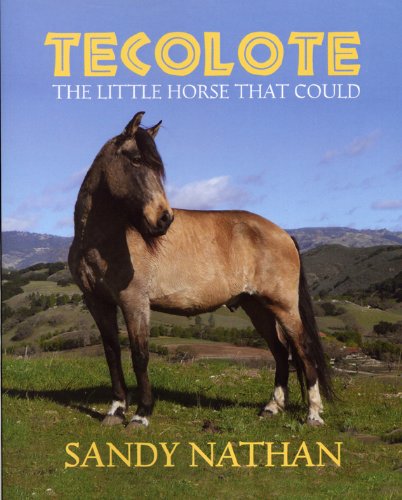 Tecolote: The Little Horse That Could