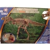 Buy Edu Science 36 Inch Giant Tyranosaurus Rex Skeleton with Sturdy Display Case by Edu Science