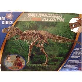 Edu Science 36 Inch Giant Tyranosaurus Rex Skeleton with Sturdy Display Case by T-Rex