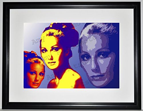 Cher 19x25 Custom Framed Limited Edition Print by Amy Matsumoto