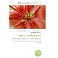 Atropa Belladonna: Perennial plant, Solanaceae, Toxin, Tropane, Scopolamine, Hyoscyamine, Delirium, Hallucination, Atropine, Middle Ages, Anesthesia, Macbeth ... Scotland, Atropos, Moirae, Greek mythology
