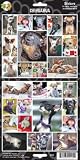 Pet Qwerks S12 Chihuahua Dog Sticker