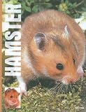 Hamsters