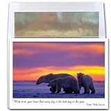 Best Days - New Year Holiday Cards, Box of 10 cards and envelopes