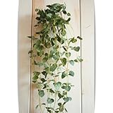 ���i�̏ڍ�