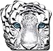 Kitchen & Housewares : SIBERIAN WHITE TIGER PRINT Set of 4 Leather Coasters