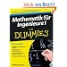 Mathematik f�r Ingenieure I f�r Dummies (Fur Dummies)