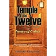Temple of the Twelve - Volume 1, Novice of Colors (Temple of the Twelve) by Esmerelda Little Flame