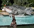 Taxidermy 19" Fiberglass Sea Bass Statue
