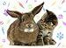 Ravensburger 14180 - Zwei Freunde 500 Teile Puzzle