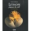 Lithops, joyaux du veld